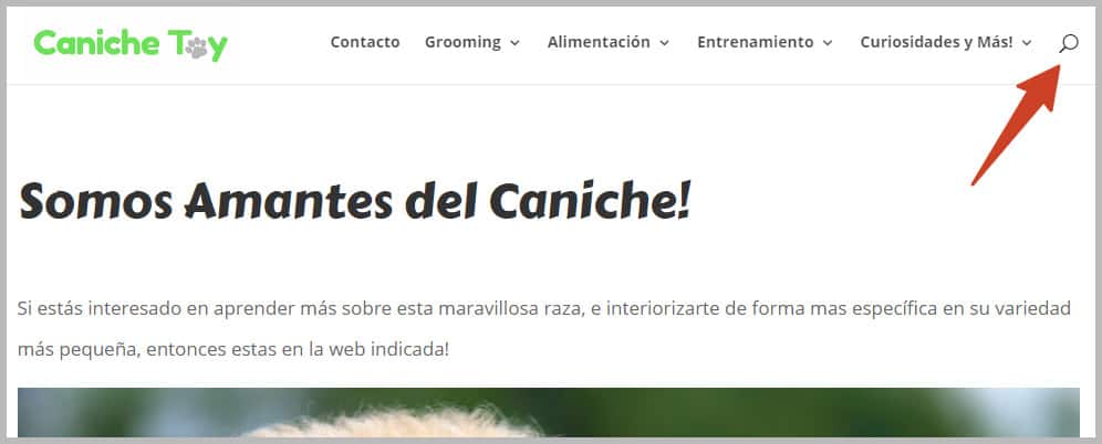 características de un blog de marca